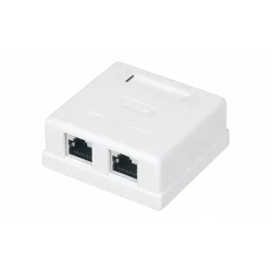 WRline WR-WS-8P8C-C5E-SH-2 Розетка компьютерная RJ-45, категория 5e, экранированная, двойная, внешняя, Dual IDC, цвет белый